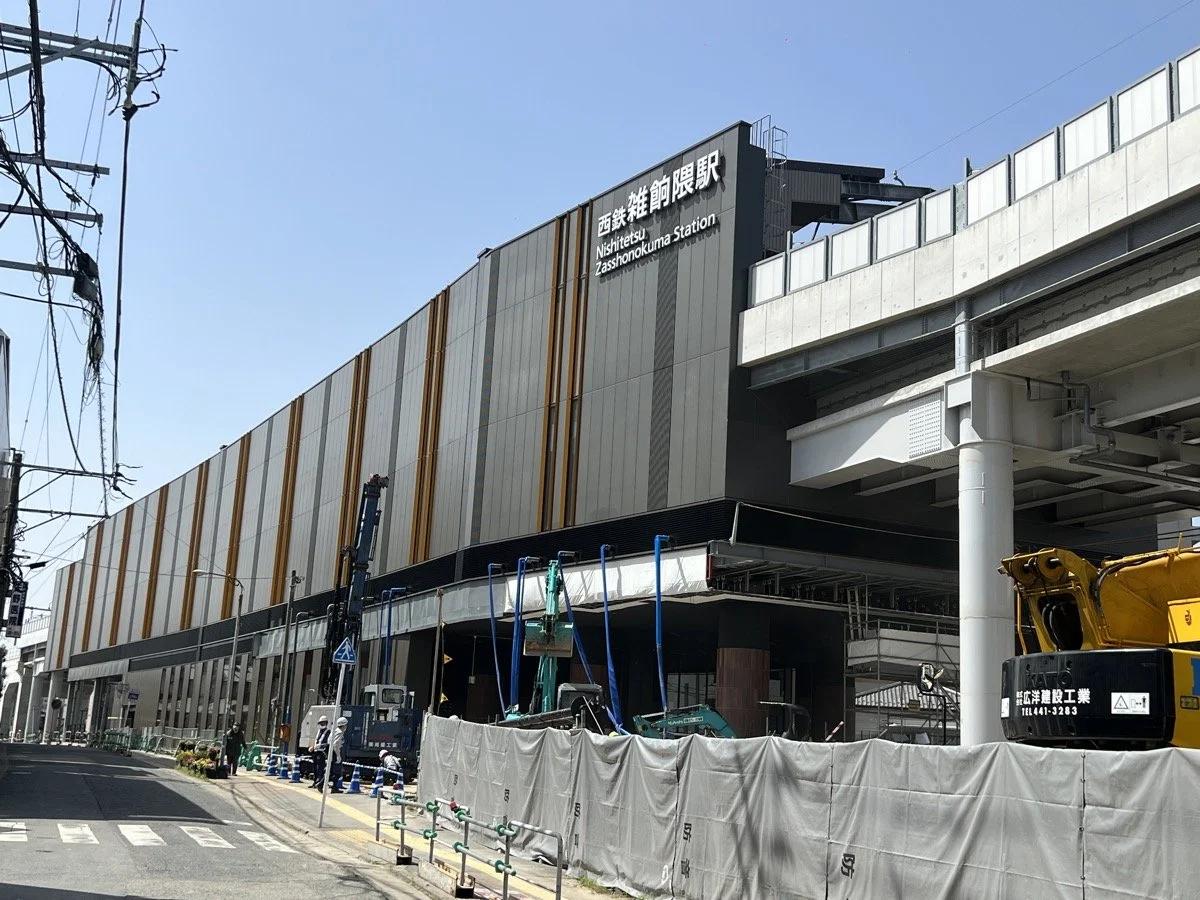 Saintpolia Minami-Fukuoka