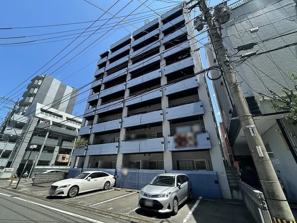 Saintpolia Minami-Fukuoka