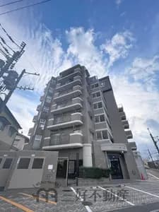会员限定