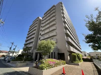 Surpass 原南