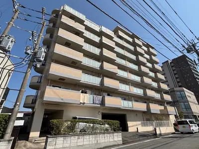 会员限定
