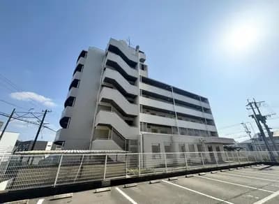 会员限定