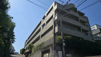 会员限定
