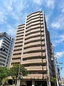 會員限定