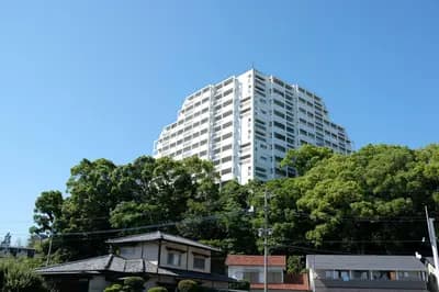 會員限定