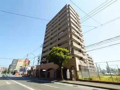 會員限定
