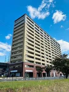 会员限定