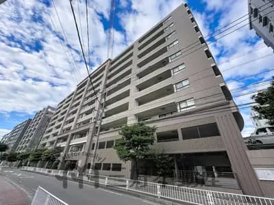 会员限定