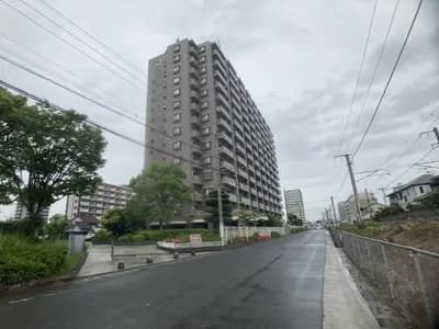 会员限定