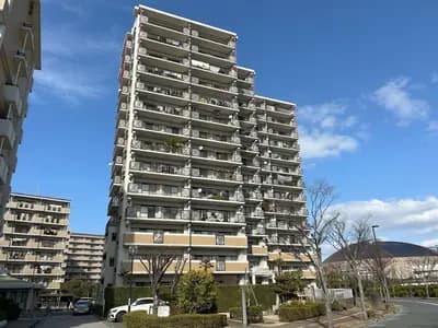 會員限定
