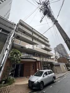 會員限定