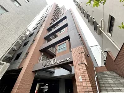 会员限定