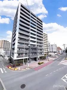 会员限定
