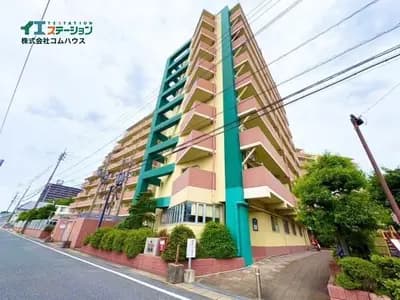 會員限定