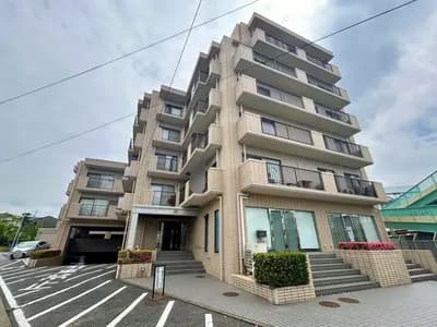 会员限定