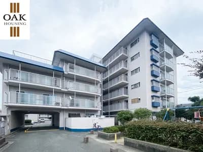 会员限定