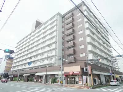 会员限定