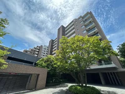 會員限定