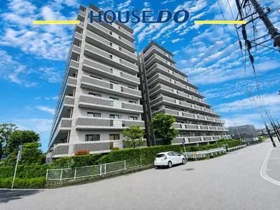 会员限定