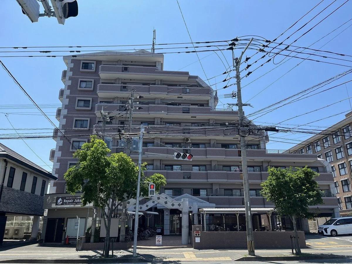 Amour 大橋南