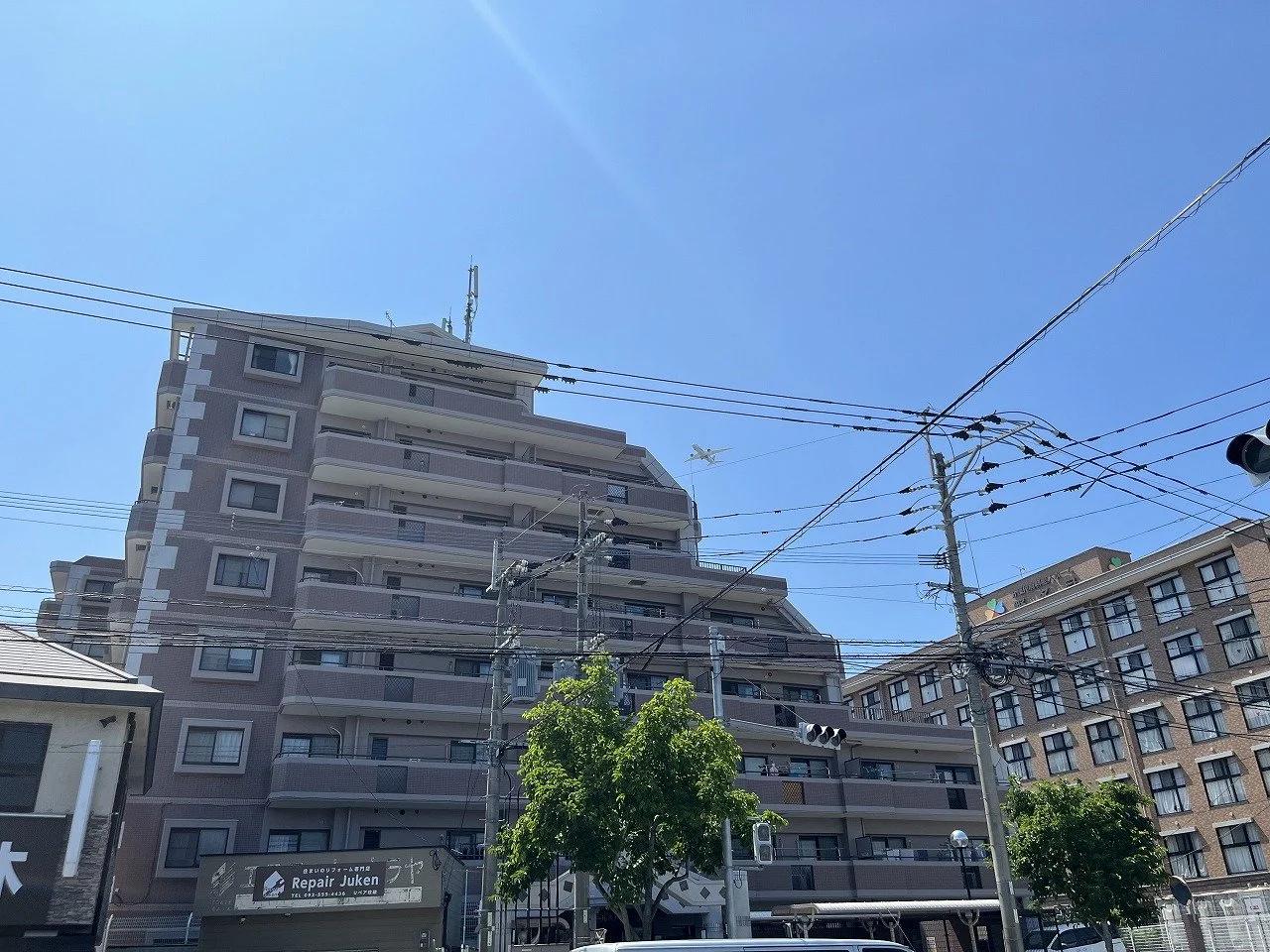 Amour 大橋南