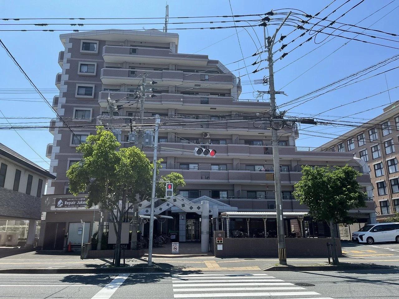 Amour 大橋南