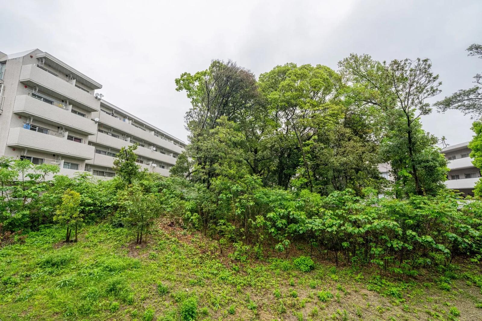Stance Residence Shokubutsu-en Gaien Hills