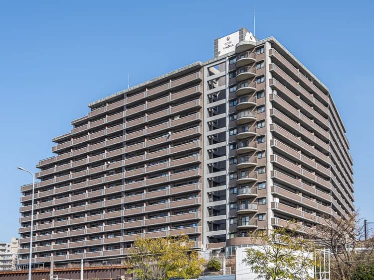Core Mansion 和白東Paseo