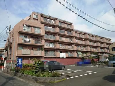 会员限定