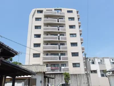 会员限定