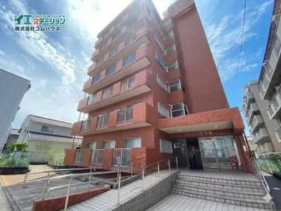 会员限定