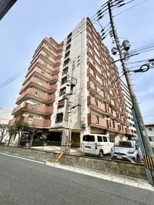 会员限定