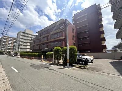 會員限定