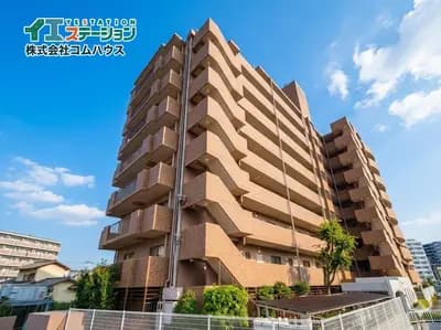会员限定
