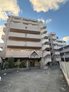 会员限定