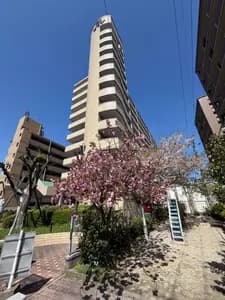 Gran Pia 箱崎5