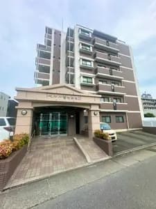 会员限定