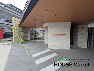 会员限定