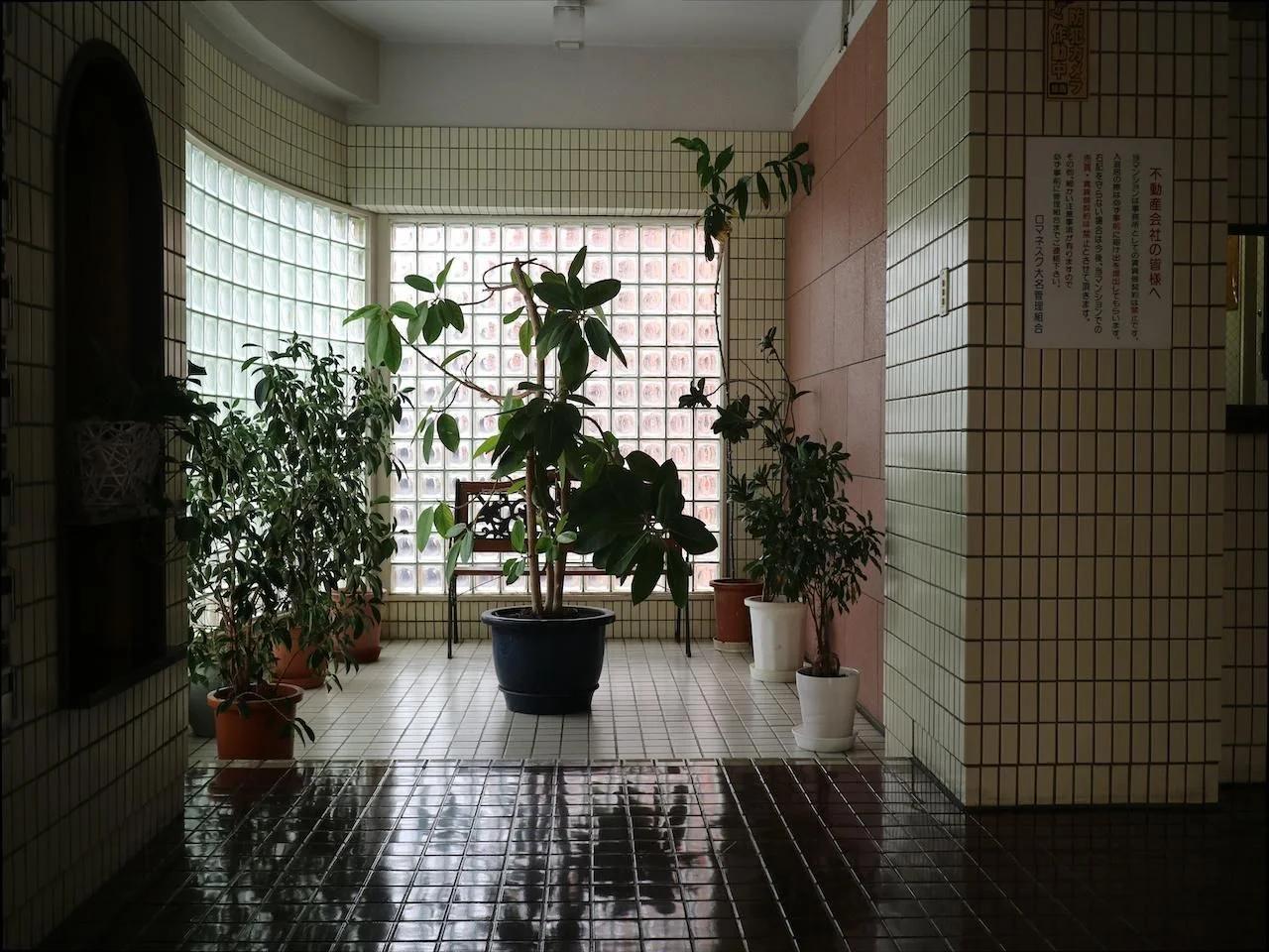 Romanesque 大名