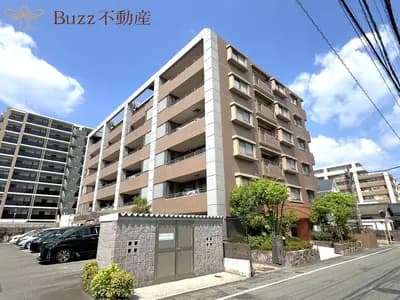 會員限定