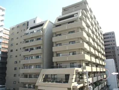 會員限定
