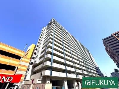 會員限定