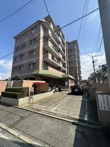 会员限定