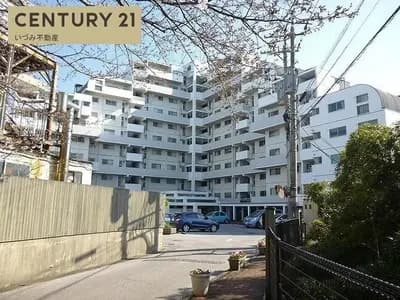会员限定