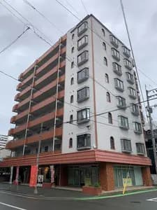 会员限定
