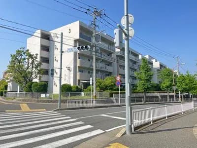 会员限定