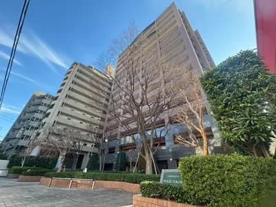 Comodus Passo Tenjin