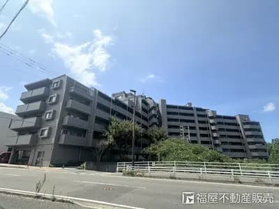 会员限定