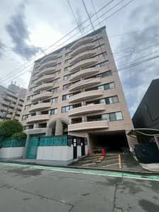 会员限定
