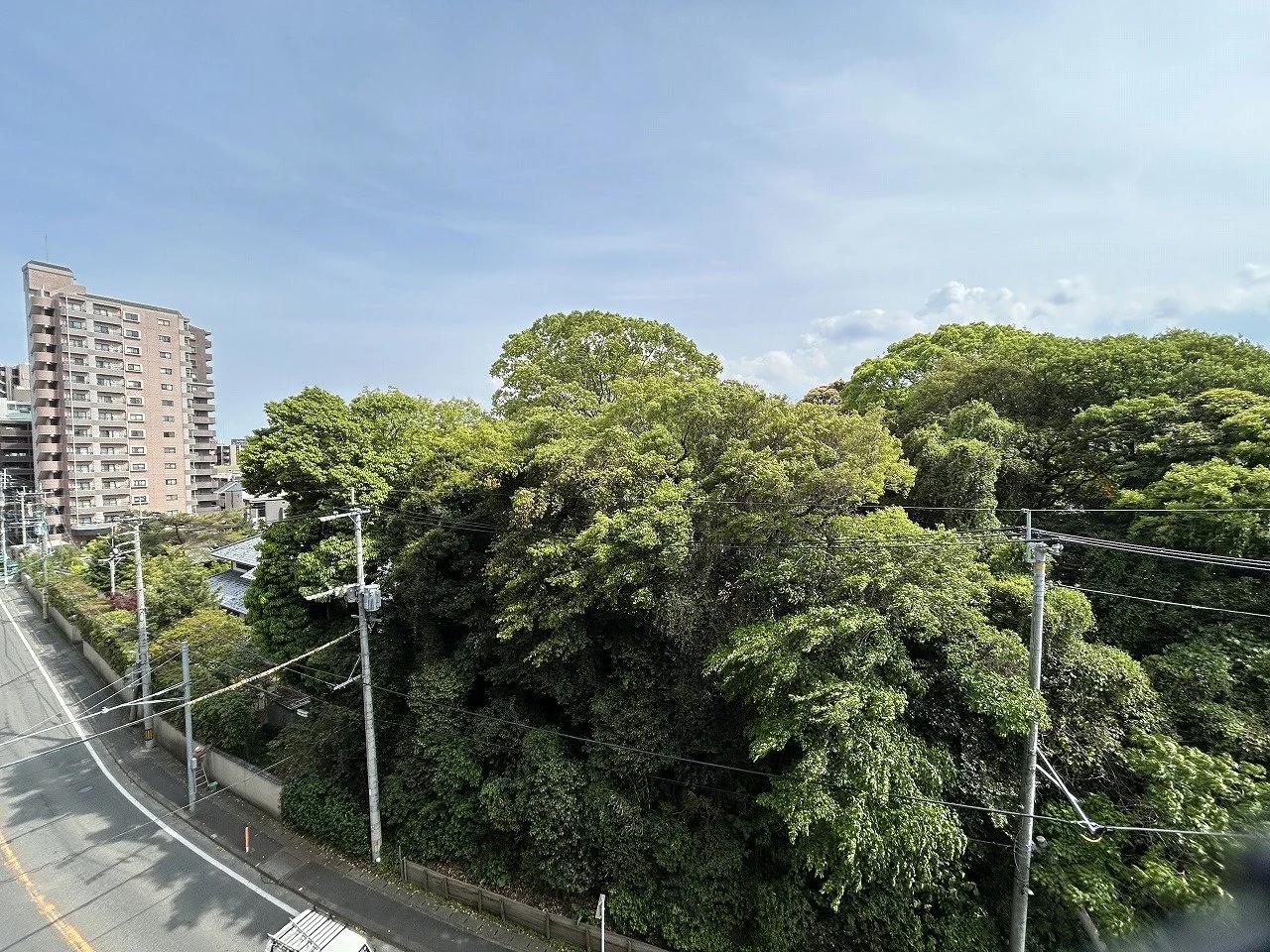 Royal Mansion Meinohama 2